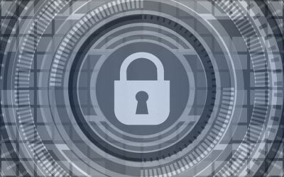 Blog Do Small Businesses Need Cybersecurity?