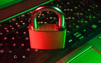 Blog 6 Steps to Effective Vulnerability Management for Your Technology