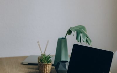 Blog How Small Businesses Can Approach Workforce Technology Modernization